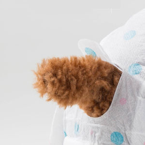 POOCHI Offre Spéciale Couche Jetable pour Chien Mâle et Femelle Chats Lapins - Product Image 4