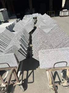 سعر الجملة للجرانيت الوردي G636 المصقول 60*60*2 سم للأرضيات والجدران بجودة عالية - Product Image 2