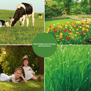 Fertilizante de hierba de alto rendimiento 30G Enriquecedor de suelo orgánico para césped, jardines y paisajismo - Product Image 6