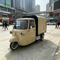 Tricycle Électrique Personnalisé de Haute Qualité pour Vente Ambulante Commerciale