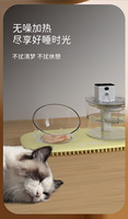 Distributeur d'eau automatique pour animaux de compagnie, tapis chauffant en silicone, bol pliable, accessoires pour chats et chiens, température 30°C, produits et fournitures