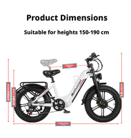 Sepeda Listrik Ban Gemuk 20 inci Dual Drive Baterai Lepas Pasang 20Ah 2000W