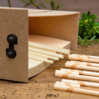 Pailles jetables en PLA en gros, compostables et écologiques pour café, jus, lait, thé et autres boissons