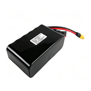 HOZHM High-power 6S2P 10Ah 222Wh Portable Power Station Output High Capacity Semi-solid State 800-Cycle IN - Product Image 2