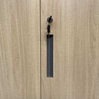 Armoire de rangement en acier pleine hauteur moderne à 2 tiroirs pour documents, idéale pour le bureau, la maison et l'école