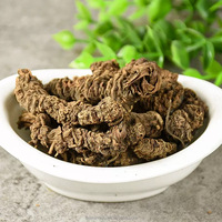 Racine de Valériane Séchée Valeriana Officinalis – Mélange Herbal Personnalisé pour le Sommeil (Infusion, Sachet, Extrait, Poudre)