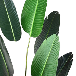Tùy Chỉnh Nhìn Tự Nhiên 6ft Giả Trong Chậu Cây Cao Mô Phỏng Lụa Nhiệt đới Chim Giả Cây Chuối Cho Nhà Trong Nhà Và Ngoài Trời Trang Trí Nội Thất - Product Image 3