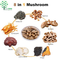 Biologisch Cordyceps Militaris Extract Polysacchariden Beta Glucan Cordycepin Poeder Trommel
