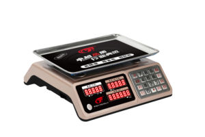 스리랑카 30kg 더블레드 스콧 웨잉 웨이빙 빔 가격 계산 저울 - Product Image 3