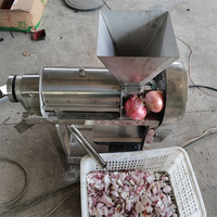 Industriële schroefpers van roestvrij staal voor fruit en groenten, hoge productiviteit, geschikt voor wortelen en gember.