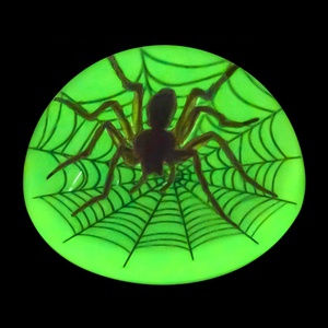 Tự Nhiên Bất Spider Côn Trùng Động Vật Nhựa Bàn Trang Trí Nội Thất Bán Cầu Dome Hình Dạng Sáng Tùy Chỉnh Đồ Trang Trí Thủ Công - Product Image 2