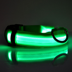 Collier LED lumineux en Nylon pour chien, ajustable, lumineux, clignotant, brille dans la nuit, pour la sécurité de votre animal de compagnie, adapté au chiot, laisse également disponible en plusieurs couleurs - Product Image 4