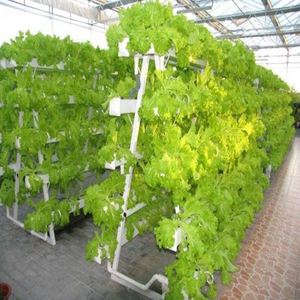 Producto estrella: Sistema hidropónico en forma de A con tubería plana y acero inoxidable para invernadero acuapónico - Product Image 4