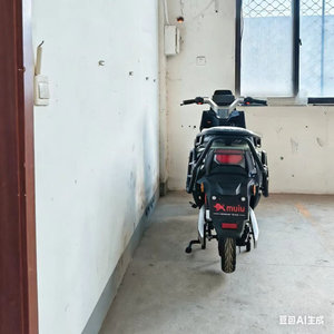 Motocicleta Eléctrica para Adultos de 60 V y 800 W, Scooter de Turismo con Batería de Plomo-Ácido, Tiempo de Carga de 6-8 Horas, 50 km/h, para Desplazamientos Urbanos - Product Image 5