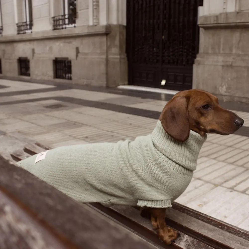 Qiqu Persediaan Hewan Peliharaan Kustom Baru Desainer Mewah Hangat Dachshund Anjing Jersey Sweater Pakaian Hewan Peliharaan Sweater untuk Anjing Dachshund dengan Kaki