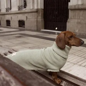 Qiqu-Jersey de perro salchicha cálido de lujo, ropa para mascotas, suéteres con patas, nuevo diseño personalizado