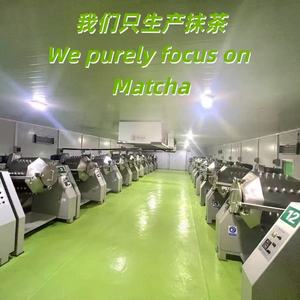 Té Matcha de Grado AA, Hojas de Té Verde Naturales Puras, Sin Pesticidas, Empaquetado en Bolsa, Alta Calidad para Bebidas Diarias de Bienestar - Product Image 5