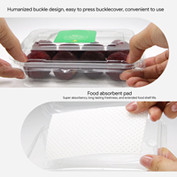 Boîte en plastique à clapet en gros, emballage jetable en PET pour tomates cerises, bleuets, barquettes de fruits en plastique avec trou