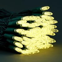 110V American LED Lampe String Bier Note M5 Ice Edge Outdoor Wasserdichte Mini Weihnachts baum Lampe IP65 10m Dimmbar Großhandel