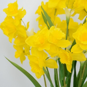 Artificiale Narcisi Bouquet di Fabbrica Commercio All'ingrosso 53cm Panno Di Seta Lunga Durata Artificiale Narcisi per la Cerimonia Nuziale Della Decorazione Della Casa - Product Image 2