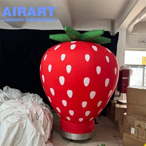 Modelo de Arándano Inflable Grande a Medida, Globo de Fruta de Arándano Inflable - Product Image 5
