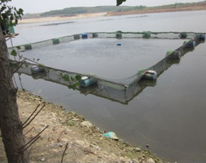 Cage piscicole circulaire HDPE anti-tempête PE piège d'aquaculture en haute mer pour truite - Product Image 5
