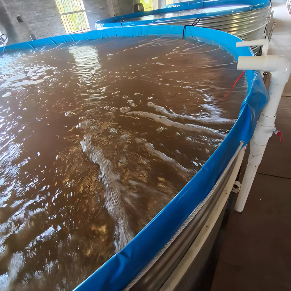 फैक्टरी अनुकूलित मछली और झींगा आरएएस प्रणाली उच्च घनत्व वाली मछली पालन जलीय कृषि उपकरण फार्मिन टैंक जलाशय