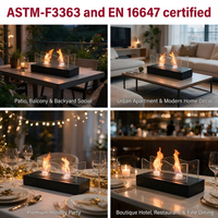 Brasero de table en métal avec combustible bioéthanol, cheminée d'ethanol de table sans fumée, appareil à S'mores, brasero d'intérieur sans fumée