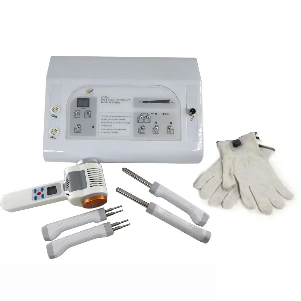 2 Trong 1 Bio Microcurrent Da Mặt Liệu Pháp Điện Lift Beauty Machine Với Lạnh Nóng Búa Và Găng Tay