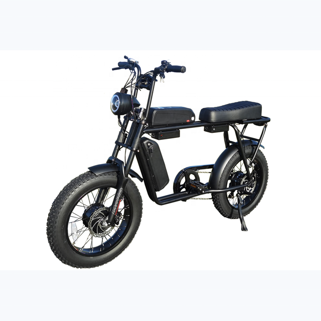 100KM Long Distance Off-Ride 750W Rear Hub Motor Ebike 48V 15Ah Battery 20inch Disc Brake Electric Fat Bike