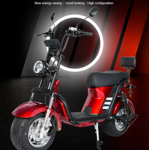 Bicicleta Eléctrica de 1500W con Motor Trasero sin Escobillas, Aleación de Aluminio, Batería de Litio de 60V, Suspensión Hidráulica, Velocidad de 50km/h, 200kg - Product Image 1