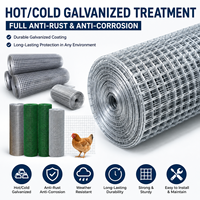 Clôture en treillis métallique galvanisé de haute qualité 1x1 pouce pour volière, lapinière, poulailler