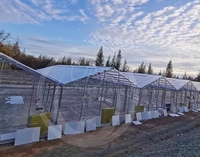 Invernadero Agrícola de Diseño Original Jiapei, Fábrica de Invernaderos de Policarbonato con Panel de PC de Una Sola Parada