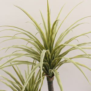 Artificial Tree Factory Wholesaler Artificial <strong>Plants</strong> High Quality Artificial Dracaena <strong>Plants</strong> Trees Cycas <strong>Yucca</strong> <strong>for</strong> <strong>Sale</strong> - Product Image 4