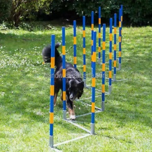 Equipo de Entrenamiento de Agilidad para Perros, 12 Postes Plegables de Acero con Base de Plástico, Impermeable IP67, Postes de Slalom para Perros - Product Image 6