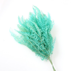 Fleur Préservée De haute Qualité Gros Feuilles de Fougère Dicranopteris <span class=keywords><strong>Dichotoma</strong></span> Feuille - Product Image 2