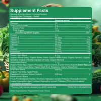 Amin OEM Label pribadi bubuk makanan super untuk nutrisi olahraga bebas sampel hijau (campuran energi beri) Vitamin organik