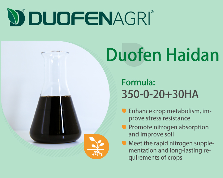 Humic Acid Liquid Nitrogen Fertilizer Manufacturer | 100% Soluble image 2