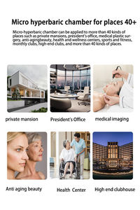 Chambre <span class=keywords><strong>hyperbare</strong></span> portable super personnalisée pour la maison, style SPA, <span class=keywords><strong>prix</strong></span> bas, équipement de thérapie HBOT haute pression - Product Image 4