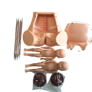 Model Pengajaran Persalinan Lanjutan, Model Pengiriman Janin dengan Tali Pusar dan Plasenta - Product Image 4