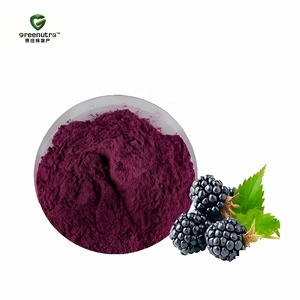 Extracto de Raíz de Morera Greenutra en Polvo, Relación 10:1, Alta Concentración, Extracción por Solvente, Morus Alba para Suplementos Alimenticios - Product Image 2