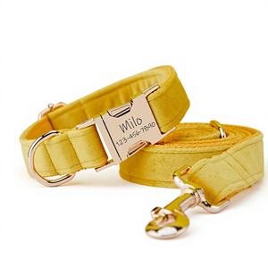 ชุดปลอกคอและสายจูงสุนัขสีเหลืองและสีส้มแบบกำหนดเองได้ พร้อมสลักชื่อสัตว์เลี้ยง หัวเข็มขัดโลหะ ของขวัญฟรีสำหรับงานแต่งงานหรือสุนัขตัวเล็ก - Product Image 1