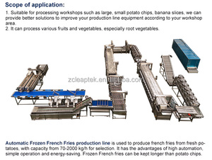 Machine automatique industrielle de fabrication de <span class=keywords><strong>frites</strong></span> françaises 200 kg/h, ligne de production complète - Product Image 4