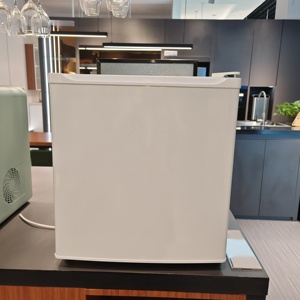 Wholesale Cheap 45L White Home Portable Small Refrigerator <b>Mini</b> Bar Fridge Wholesale Cheap 45L White Home Portable Small Refrige - Product Image 5