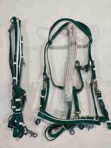 Brida de Cuero de Alta Resistencia Diseñada para Profesionales que Garantiza un Control Superior del Caballo y un Rendimiento de Conducción Cómodo - Product Image 5