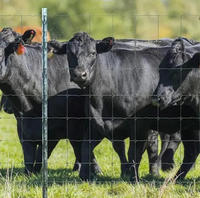 Panneaux de clôture personnalisés pour bétail, destinés aux projets d'élevage agricole et de clôtures périmétriques