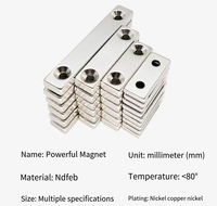 Magnet Neodymium Persegi Panjang Kuat dengan Dua Lubang Sekrup, Bahan Magnet Tanah Jarang Permanen Khusus