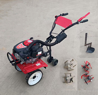 Livraison Gratuite !!! Mini Motoculteur Désherbeur en Chine, Mini Cultivateur Rotatif pour Machines de Désherbage Agricole