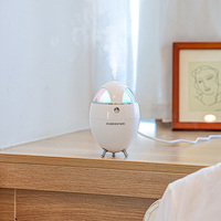 Mini humidificateur portable créatif en forme d'œuf, diffuseur ultrasonique à brume froide, peut ajouter de l'huile essentielle, humidificateur d'air, contrôle de l'humidité YS