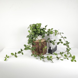 พุ่มไม้ประดิษฐ์ กระถางต้นไม้ ตกแต่งต้นไม้ - Product Image 4
